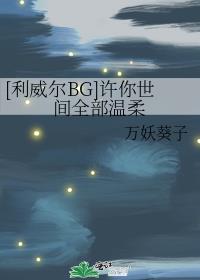 [利威尔BG]许你世间全部温柔