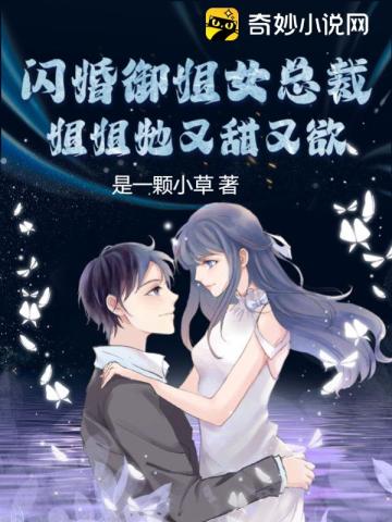 闪婚御姐女总裁,姐姐她又甜又欲